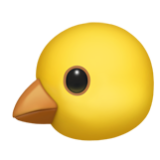 Apple(iPhone) Baby Chick Emoji