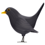 Apple(iPhone) Black Bird Emoji