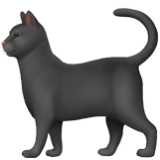 Apple(iPhone) Black Cat Emoji