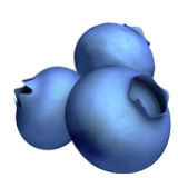 Apple(iPhone) Blueberries Emoji