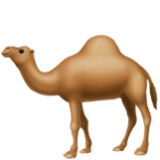 Apple(iPhone) Camel Emoji