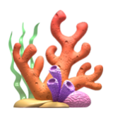 Apple(iPhone) Coral Emoji