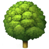 Apple(iPhone) Deciduous Tree Emoji