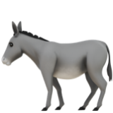 Apple(iPhone) Donkey Emoji