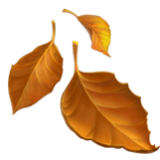 Apple(iPhone) Fallen Leaf Emoji