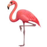 Apple(iPhone) Flamingo Emoji