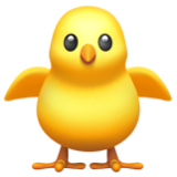 Apple(iPhone) Front-Facing Baby Chick Emoji