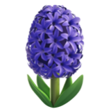 Apple(iPhone) Hyacinth Emoji