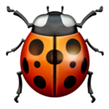 Apple(iPhone) Lady Beetle Emoji