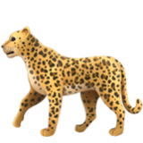 Apple(iPhone) Leopard Emoji