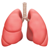 Apple(iPhone) Lungs Emoji