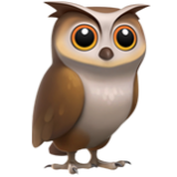 Apple(iPhone) Owl Emoji