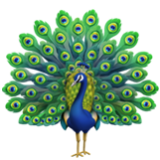 Apple(iPhone) Peacock Emoji