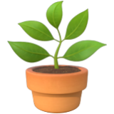 Apple(iPhone) Potted Plant Emoji