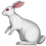 Apple(iPhone) Rabbit Emoji