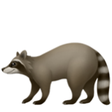 Apple(iPhone) Raccoon Emoji