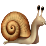 Apple(iPhone) Snail Emoji