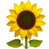 Apple(iPhone) Sunflower Emoji