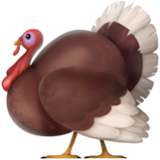 Apple(iPhone) Turkey Emoji