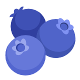 Google(Android) Blueberries Emoji