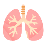 Lungs🫁 Emoji Meaning (Copy and Paste) - Emoji Palette