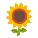 Google(Android) Sunflower Emoji