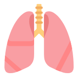 Microsoft(Windows) Lungs Emoji